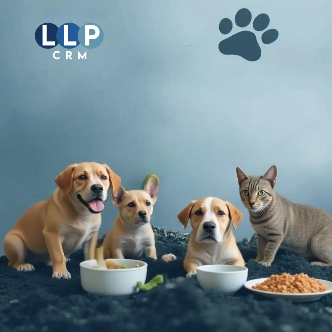LLP CRM - petcare segment